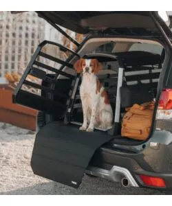 Trasportino cane auto Thule "Allax M Compact" 35 kg 65x65x77-82 cm