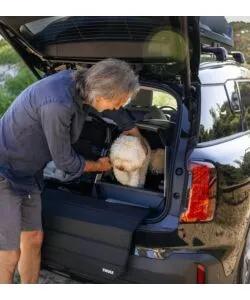 Trasportino cane auto Thule "Allax Threshold Compatible S" 30 kg 55x58x72-80 cm