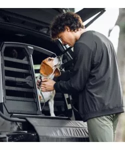 Trasportino cane auto Thule "Allax Double L Compact" 50 kg 96x69x87-93 cm